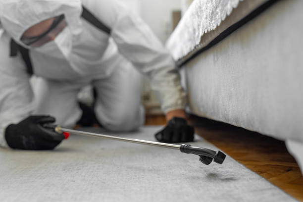 Professional Termite Control technician working in Brookridge, FL